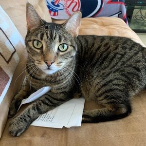 Meet your Posher, Brianna